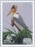 Greater Adjutant (Leptoptilos dubius)