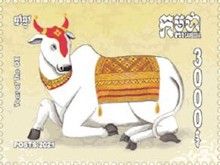 Year of the Ox 2021