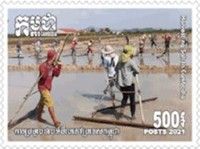 Saltmaking In Cambodia