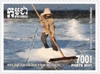 Saltmaking In Cambodia