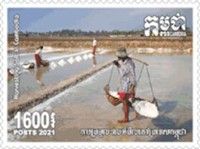 Saltmaking In Cambodia