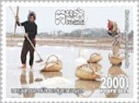 Saltmaking In Cambodia