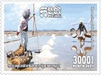 Saltmaking In Cambodia