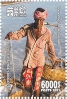 Saltmaking In Cambodia