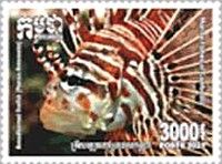 Antennae Lionfish (Pterois antennata)