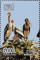Colony of Storks
