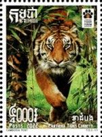 II International Tiger Forum, Vladivostok, Russia