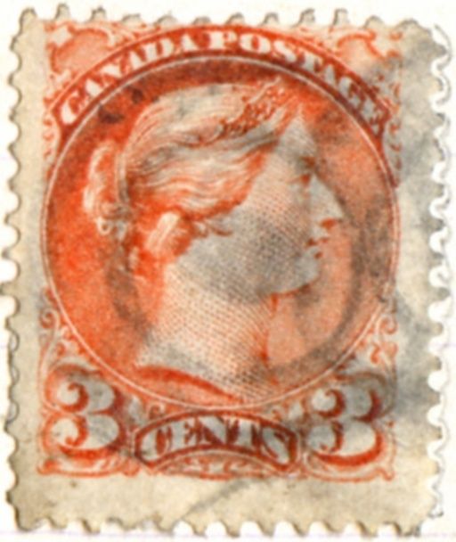 Queen Victoria (1819-1901) - rose carmine