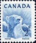 Polar Bear (Ursus maritimus)
