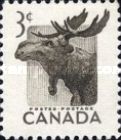Moose (Alces alces)