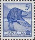 North American Beaver (Castor canadensis) - Bottom Imperf