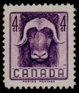 Musk Ox (Ovibos moschatus)