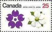 Dogwood (B.C.) and Sylised Cherry Blossom