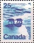 Polar Bear (Ursus maritimus)