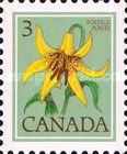 Canada Lily (Lilium canadense)