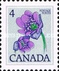 Hepatica (Hepatica acutiloba)