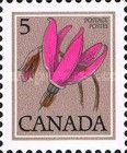 Shooting Star (Dodecatheon hendersonii)