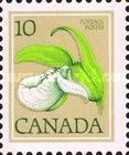 Franklin's Lady's-slipper Orchid (Cypripedium passerinum)