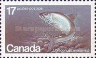 Atlantic Whitefish (Coregonus canadensis)