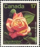 Montréal Flower Show : The Montréal Rose