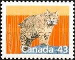 Canada Lynx (Lynx lynx canadensis) 