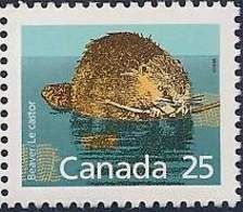 North American Beaver (Castor canadensis)