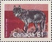 Timber Wolf (Canis lupus)