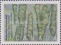 Stromatolites, Fossil Algae, Precambrian Eon