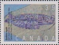 Opabinia regalis, Soft Invertebrate, Cambrian Period