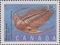 Paradoxides davidis, Trilobite, Cambrian Period