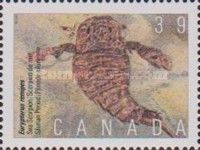 Eurypterus remipes, Sea Scorpion, Silurian Period