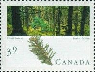 Pacific Coast Forest