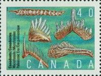 Fossil conodonts