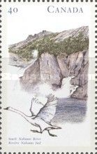 South Nahanni River & Trumpeter Swan (Cygnus buccinator)