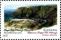 Cape St. Mary's Reserve, Newfoundland