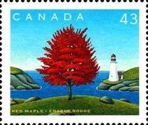 Red Maple
