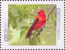 Scarlet Tanager (Piranga olivacea)