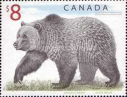 Grizzly Bear (Ursus arctos horribilis)