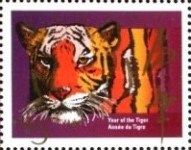 Tiger (Panthera tigris)