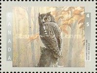 Eastern Screech-Owl (Megascops asio)