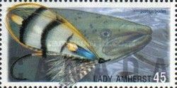 Lady Amherst