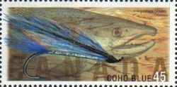Coho Blue