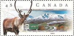 Dempster Highway, Yukon and Caribou (Rangifer tarandus)