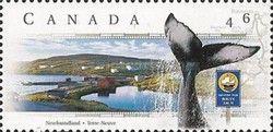 Discovery Trail, Newfoundland - Whale Fin