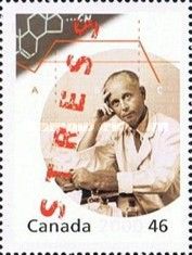 Dr. Hans Selye, Endocrinology