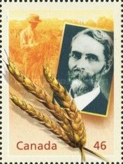 Sir Charles Saunders: The Marquis of Wheat
