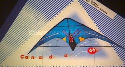 Master Control Sports Kite