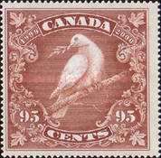 Dove of Peace on Branch