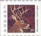 White-tailed Deer (Odocoileus virginianus) - coil stamp