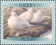 Rock Ptarmigan (Lagopus mutus)